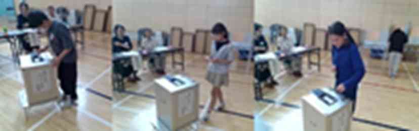 4投票ぼかしIMG_20260622_112827
